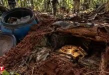 बस्तर के जंगलों में नक्सलियों के छिपे खजाने का खुलासा, दो साल में 8 किलो सोना बरामद