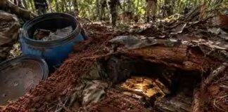 बस्तर के जंगलों में नक्सलियों के छिपे खजाने का खुलासा, दो साल में 8 किलो सोना बरामद