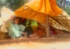 हाथियों के खौफ में गांव: पक्के मकानों की छतों पर तंबू बना ग्रामीणों ने खोजा बचाव का रास्ता