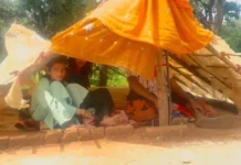 हाथियों के खौफ में गांव: पक्के मकानों की छतों पर तंबू बना ग्रामीणों ने खोजा बचाव का रास्ता