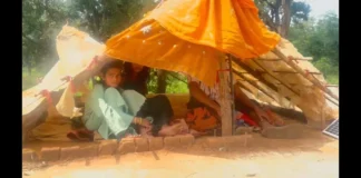 हाथियों के खौफ में गांव: पक्के मकानों की छतों पर तंबू बना ग्रामीणों ने खोजा बचाव का रास्ता