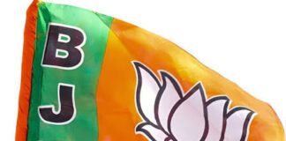 छत्तीसगढ़ भाजपा में बड़ा संगठनात्मक फेरबदल, कर्मवीर को मिली अहम जिम्मेदारी