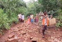 नारायणपुर के गुमियाबेड़ा की बदहाली: 4 किमी दूर हाईवे, फिर भी सड़क के लिए 30 साल से तरस रहे ग्रामीण