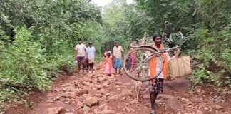 नारायणपुर के गुमियाबेड़ा की बदहाली: 4 किमी दूर हाईवे, फिर भी सड़क के लिए 30 साल से तरस रहे ग्रामीण