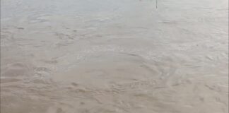 महानदी में बहकर आई शराब, बोतलें लूटने पुल पर उमड़ी भीड़; जान जोखिम में डालकर करते रहे पकड़ने की कोशिश