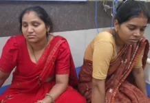 बिलासपुर में गुपचुप खाने के बाद परिवार पर टूटा बीमारी का कहर, 7 लोग अस्पताल में भर्ती